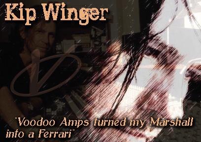 Kip Winger image
